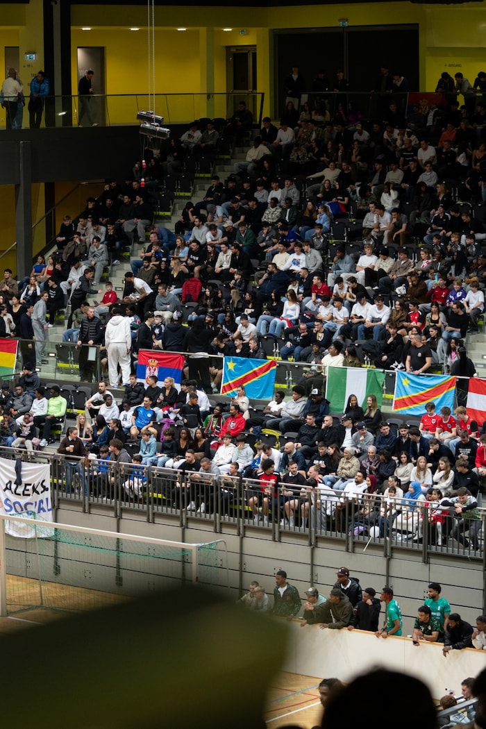 Die Flaggen auf den Rängen markierten die verschiedenen Fansektoren