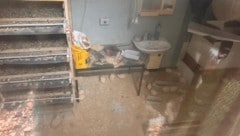 Viele Wachteln wurden in engen Käfigen (links) gehalten. Veterinärbehörde billigt, dass die ...