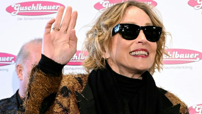 Hollywood-Ikone Sharon Stone beehrt am Wiener Opernball die Loge von „Schaumrollenkönig“ Karl ...