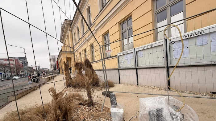 Gemessen wurde auch beim Rathaus Oberwart.