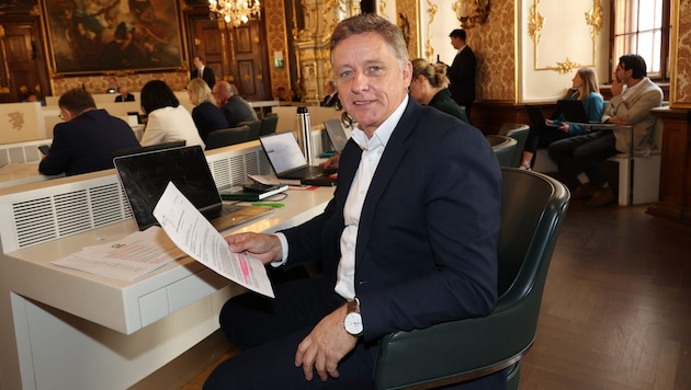 Kontrollsprecher Lambert Schönleitner von den Grünen