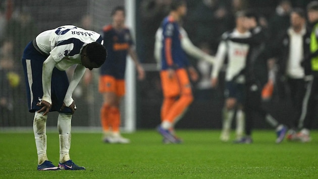 Die Spurs unterlagen im Heimspiel gegen Newcastle