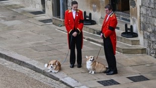 „Muick“ und „Sandy“ waren da, als der Sarg von Queen Elizabeth nach Windsor gebracht wurde.
