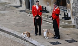 „Muick“ und „Sandy“ waren da, als der Sarg von Queen Elizabeth nach Windsor gebracht wurde.
