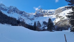 Ausblick auf die winterliche Alpe.