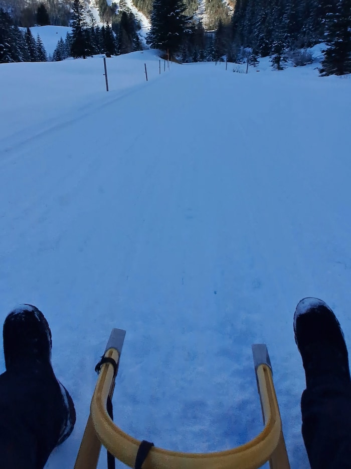 Mit dem Rodel geht es rasant retour in Richtung Brand.