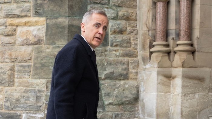 Kanadas Premierminister Mark Carney