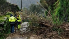 Nach Kritik am Umgang mit den schweren Unwettern ist Portugals Innenministerin jetzt ...