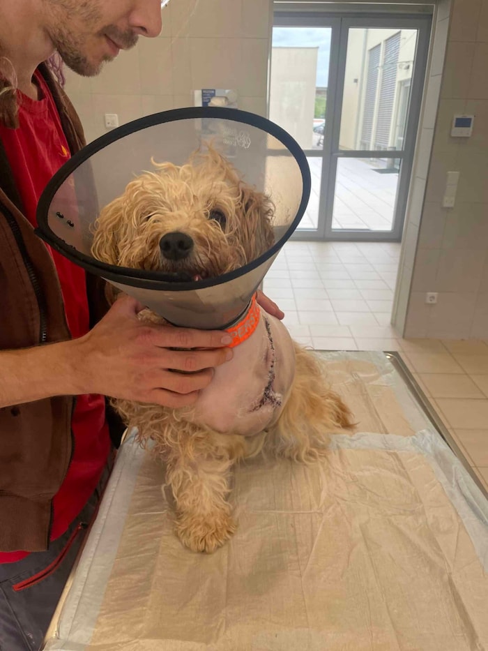 Die kleine „Maya“ vor der Operation