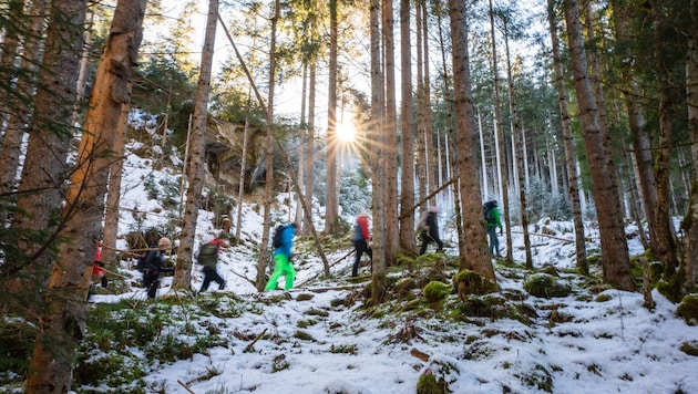 Künftig sollen Nationalparks für junge Menschen attraktiver werden.