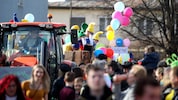 Kunstvolle Umzugswägen erfreuen im Fasching die Besucher.