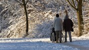 Rund-um-die-Uhr-Betreuung für Angehörige muss man sich erst einmal leisten können. 
