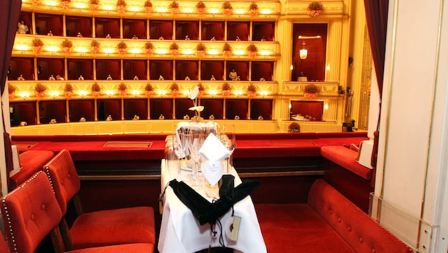 Für den Opernball 2026 haben sich wieder einige Politikerinnen und Politiker angekündigt ...