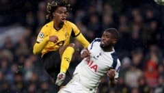 Spielt Carney Chukwuemeka bald mit Kevin Danso (r.) für Österreich?