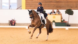 Diana Porsche auf ihrem Pferd Imhotep.