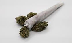 Der Dealer verkaufte Cannabiskraut und Cannabisharz. (Symbolbild)