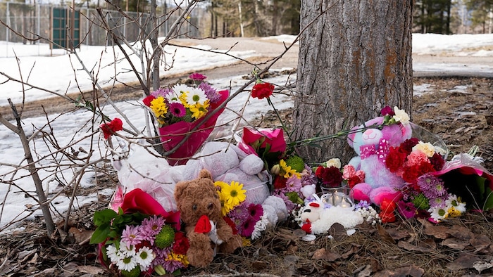 Die Schützin tötete ihre Mutter, ihren Stiefbruder, eine Lehrerin und fünf Schülerinnen und ...