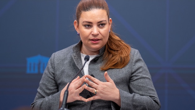 Die Grünen orten wie die FPÖ ein „Katz-und-Maus-Spiel“ des Innenministeriums.