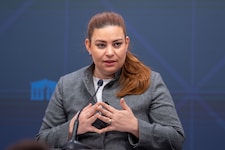 Die Grünen orten wie die FPÖ ein „Katz-und-Maus-Spiel“ des Innenministeriums. 