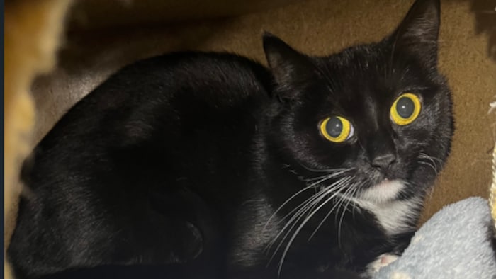 Möchte zurück zu ihren Herzensmenschen!