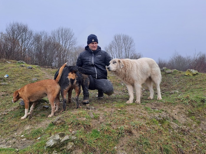 Michael Midzan steckt sein ganzes Herzblut in die Betreuung der armen Tiere.