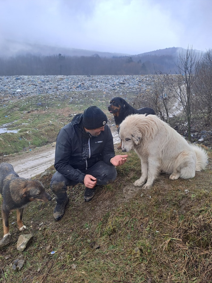 Die Tiere sind so hoffnungsvoll... Dahinter sieht man den Beginn der Mülldeponien.