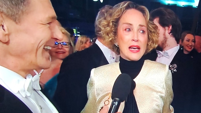 Sharon Stone kamen beim Interview mit dem ORF die Tränen.