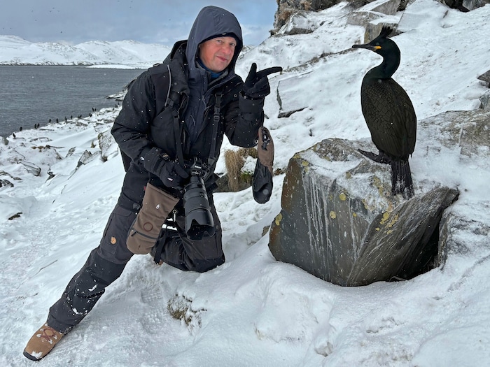 Josef Stefan mit einer Krähenscharbe auf der Insel Hornoya im Nordosten von Norwegen. Hier leben ...