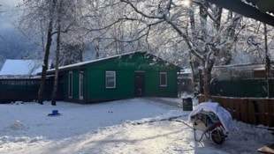 Im Tierheim „Garten Eden“ leben verträgliche Hunde in Gruppen zusammen.
