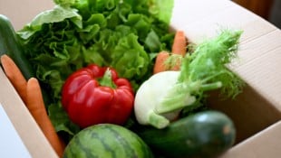 Bio Austria fordert die weitere Unterstützung für Betriebe, die auf Bioproduktion umsteigen ...