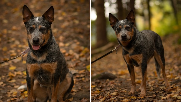 Die aufgeweckte Sonne sucht Liebe!