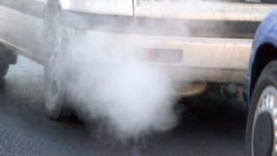 Wie wichtig ist Ihnen Umweltschutz beim Autokauf?