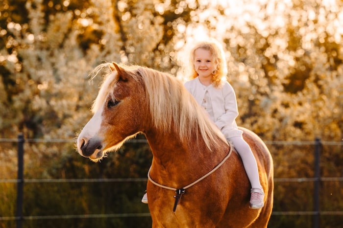 Ab wann kann man anfangen zu reiten? Klaudias Antwort: „So früh wie möglich. Tiere gehören ins ...