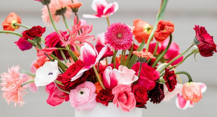 Erdige Töne wie Weinrot oder Orange vermitteln Sicherheit.