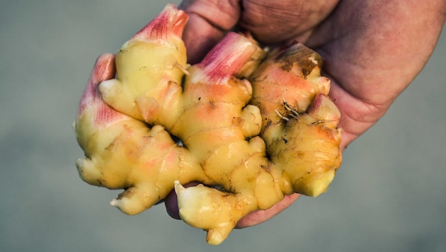 Mit Ingwersaft statt Urin wollte der Lenker die Beamten austricksen.