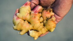 Mit Ingwersaft statt Urin wollte der Lenker die Beamten austricksen.