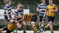 Donau-Kapitän Robert Schneider führt die Piraten wie gewohnt an.