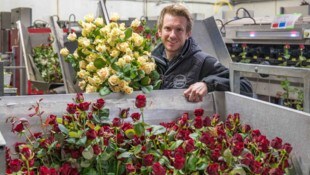 Stefan Wallner versorgt Floristen und Gärtner in der ganzen Steiermark mit frischen ...