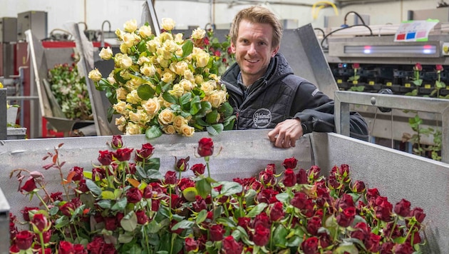 Stefan Wallner versorgt Floristen und Gärtner in der ganzen Steiermark mit frischen ...