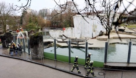 Die Feuerwehr rückt bei den Eisbären im Zoo Karlsruhe an .