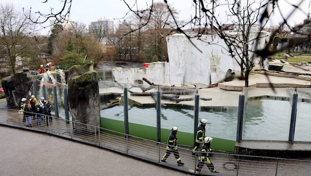 Die Feuerwehr rückt bei den Eisbären im Zoo Karlsruhe an .