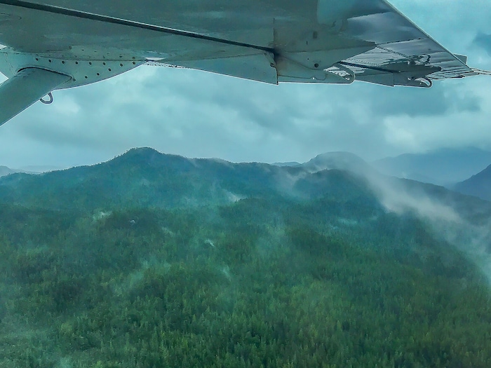Ein Blick aus dem Flugzeug, kurz vor dem Absturz.