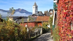 In der Gemeinde Sankt Wolfgang fand am Freitag eine große Suchaktion nach zwei kleinen Buben ...