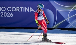 Julia Scheib