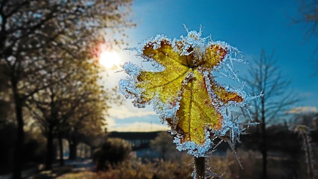 In zahlreichen österreichischen Orten herrschte Dienstagfrüh strenger Frost.