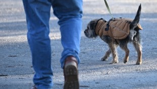 Das Wetter wird in der kommenden Woche wechselhaft und unbeständig, die Nächte frostig.