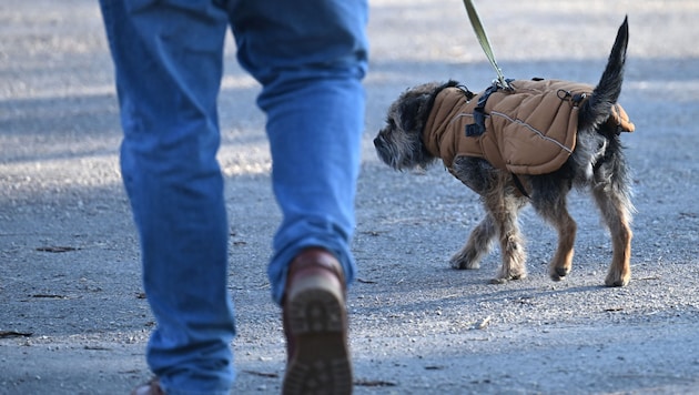 Das Wetter wird in der kommenden Woche wechselhaft und unbeständig, die Nächte frostig.