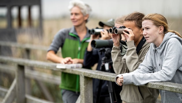 Sowohl Kinder als auch Jugendliche und Erwachsene können im Nationalpark viel lernen!