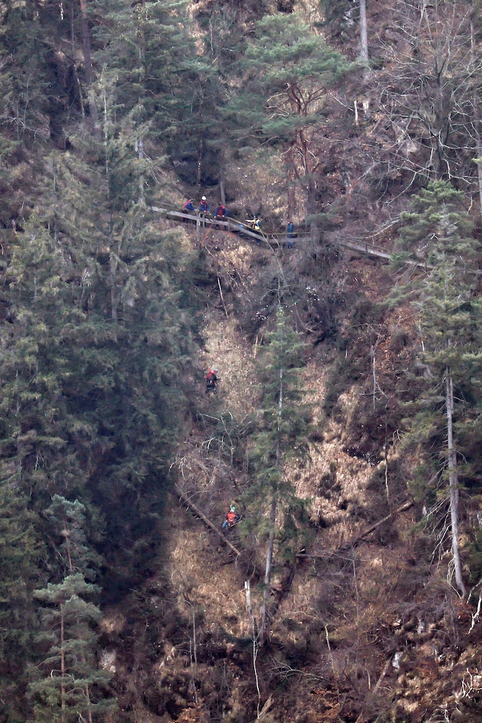 30 Meter ist das Tier abgestürzt.