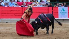 Der sogenannte „Matador“ benutzt ein rotes Tuch, um den Stier zu reizen und einen Degen, mit dem ...